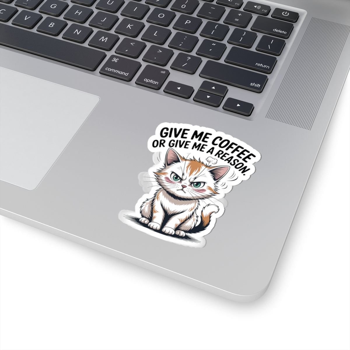 HoodnTee Sticker - Funny Grumpy Kitty Laptop Decal